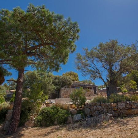 Villa Bodri, Maison En Pierre Avec Vue Mer Et Piscine Chauffee LʼÎle-Rousse Dış mekan fotoğraf