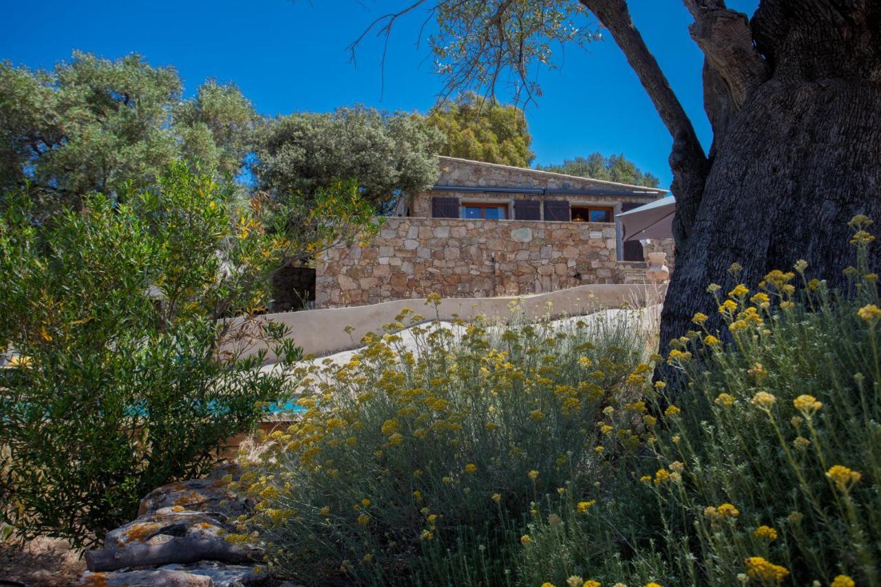 Villa Bodri, Maison En Pierre Avec Vue Mer Et Piscine Chauffee LʼÎle-Rousse Dış mekan fotoğraf