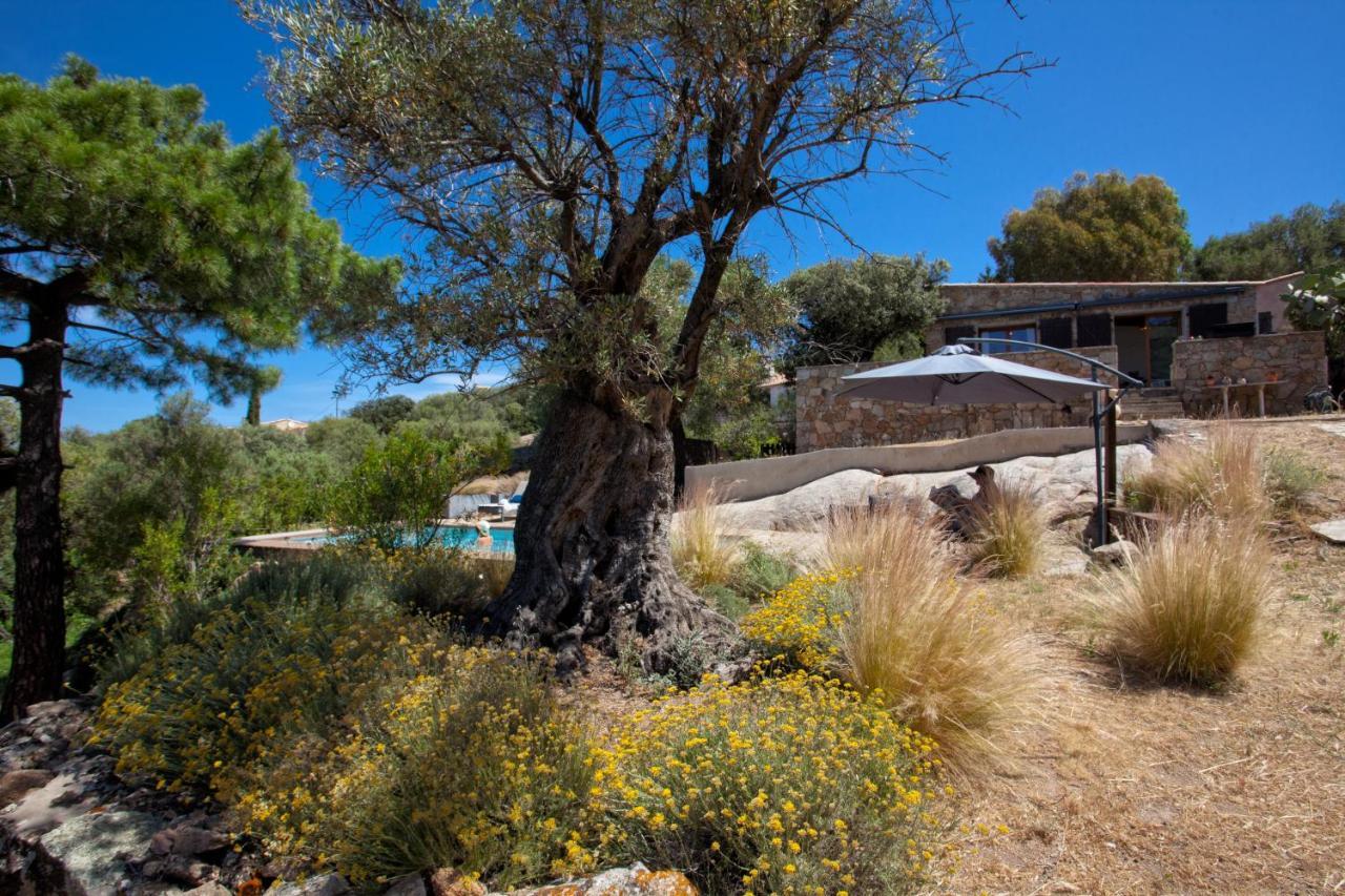 Villa Bodri, Maison En Pierre Avec Vue Mer Et Piscine Chauffee LʼÎle-Rousse Dış mekan fotoğraf